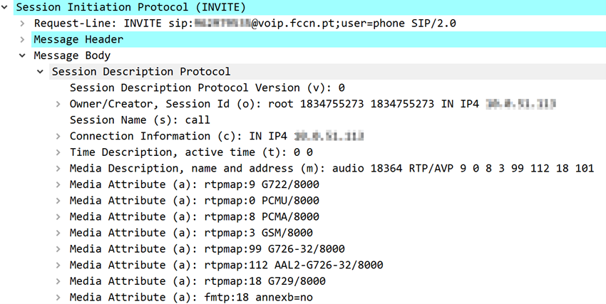 sip session FCCN Computing Unit